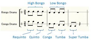 ボンゴとコンガの音の種類